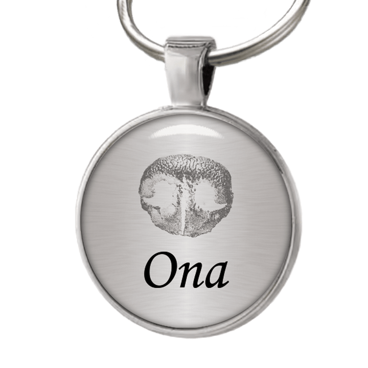 Die exklusive Hundemarke Nasenabdruck (mit dem Nasenabdruck deines Hundes) - EQUIMEA