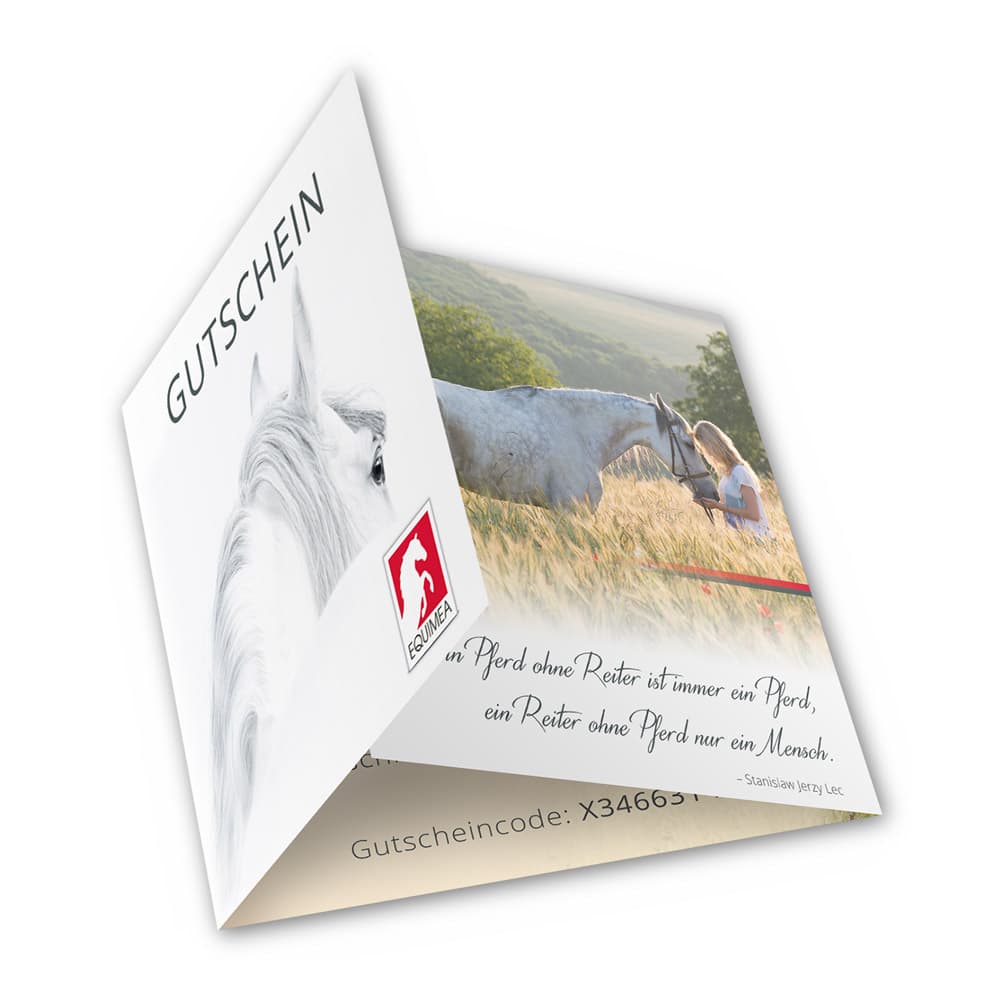 Gutschein für ein Boxenschild in 20 x 30 cm - EQUIMEA