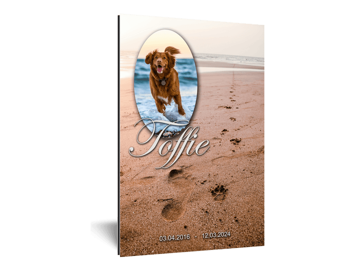 Hunde Gedenkschild "Paws in the Sand" - EQUIMEA