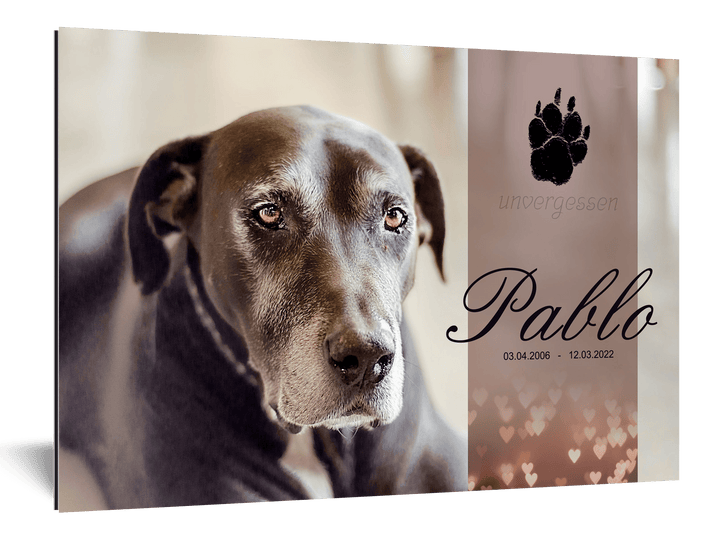 Hunde Gedenkschild "Unforgotten" - EQUIMEA