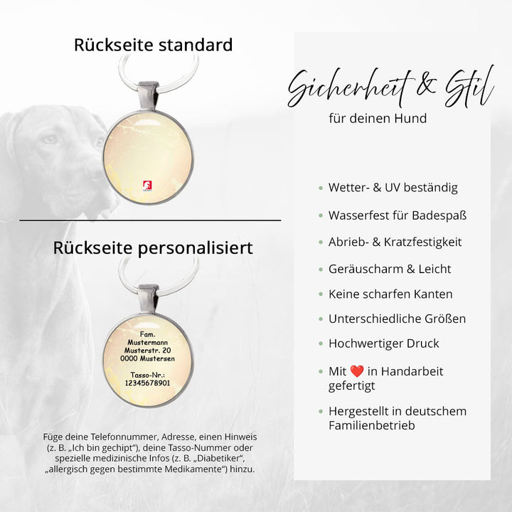 Hundemarke Abstract Gold - EQUIMEA