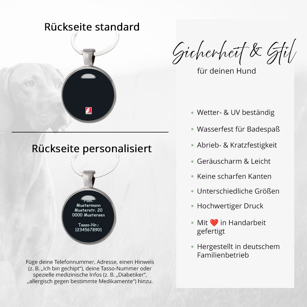 Hundemarke Bergsee bei Nacht - EQUIMEA