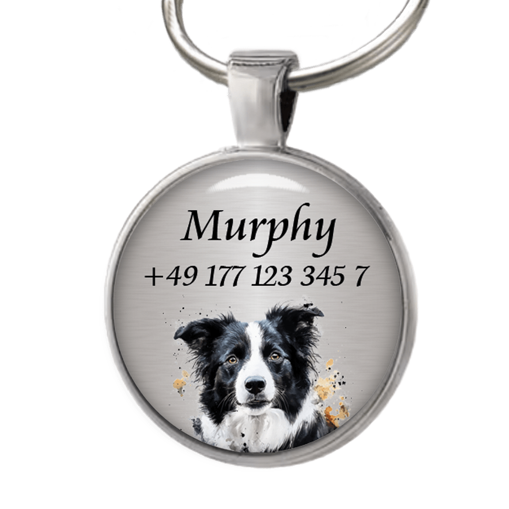 Hundemarke Border Collie - EQUIMEA