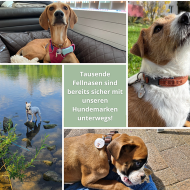 Hundemarke Lovely Dog – EQUIMEA