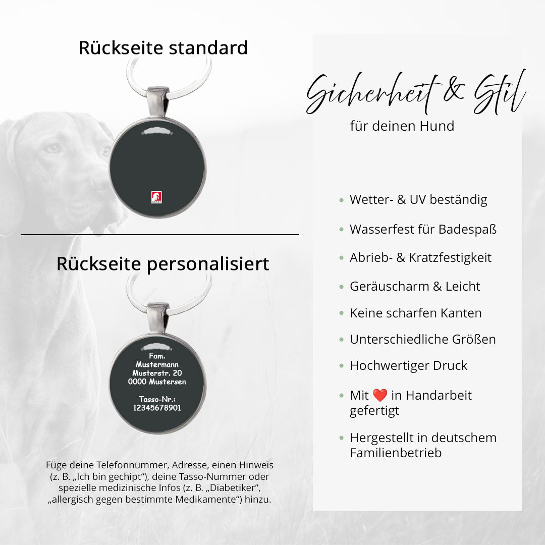 Hundemarke Christmas Happy Elves - EQUIMEA