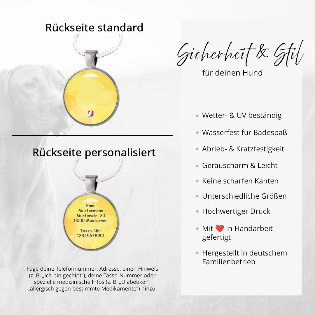 Hundemarke Coloredition Citrus - EQUIMEA
