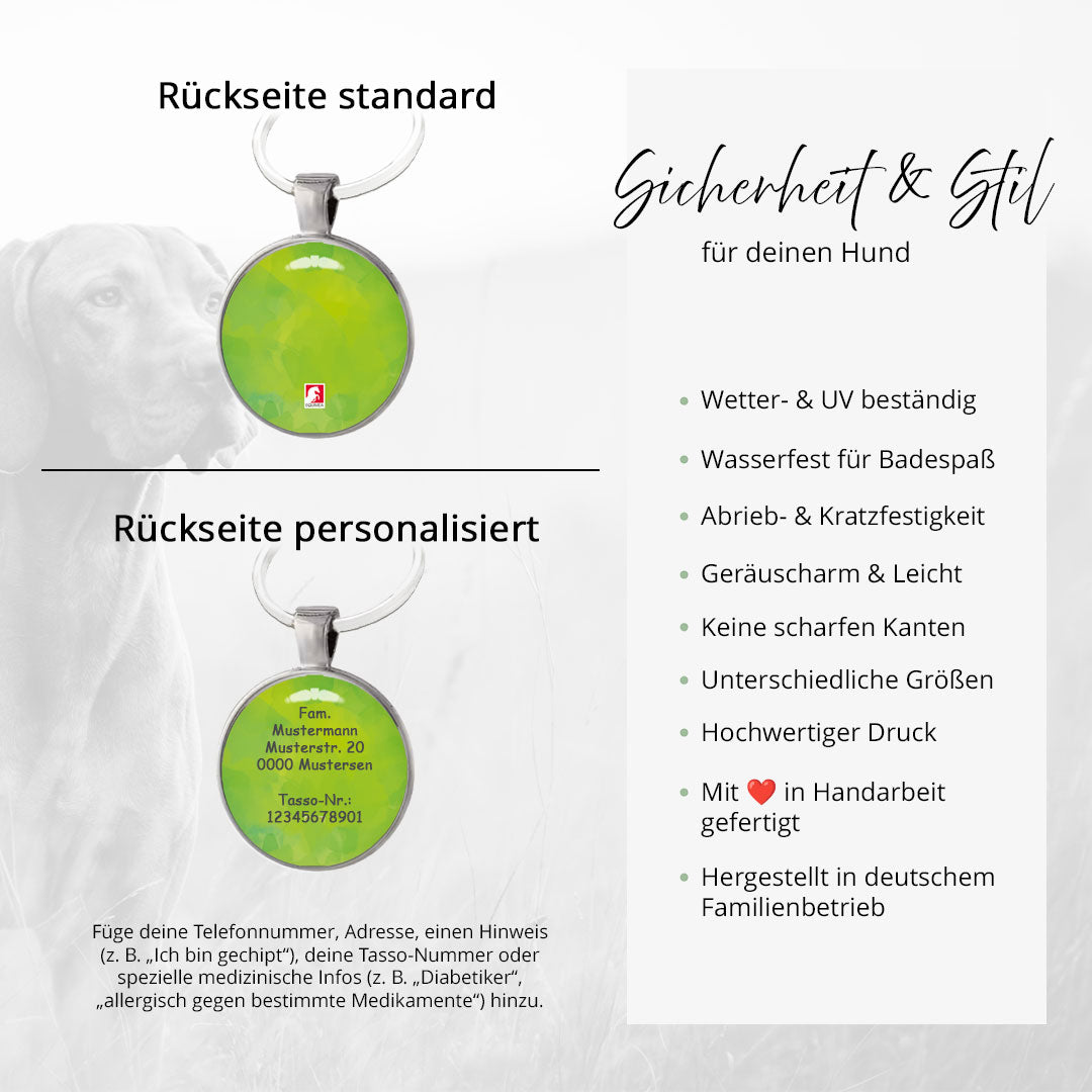 Hundemarke Coloredition Lime - EQUIMEA