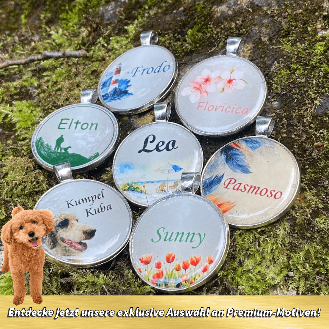Hundemarke Coloredition Sky - EQUIMEA