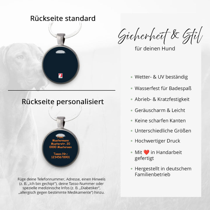 Hundemarke Holi Splash - EQUIMEA