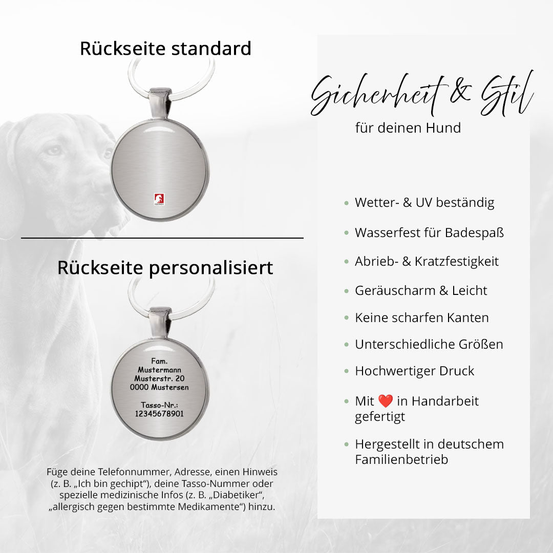 Hundemarke Little Paw - EQUIMEA