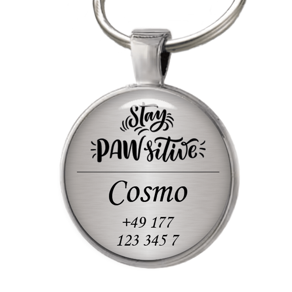 Hundemarke Stay PAWsitive - EQUIMEA