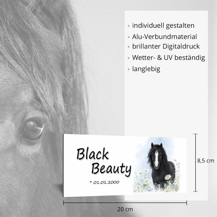 Kinderschild Black Beauty - EQUIMEA