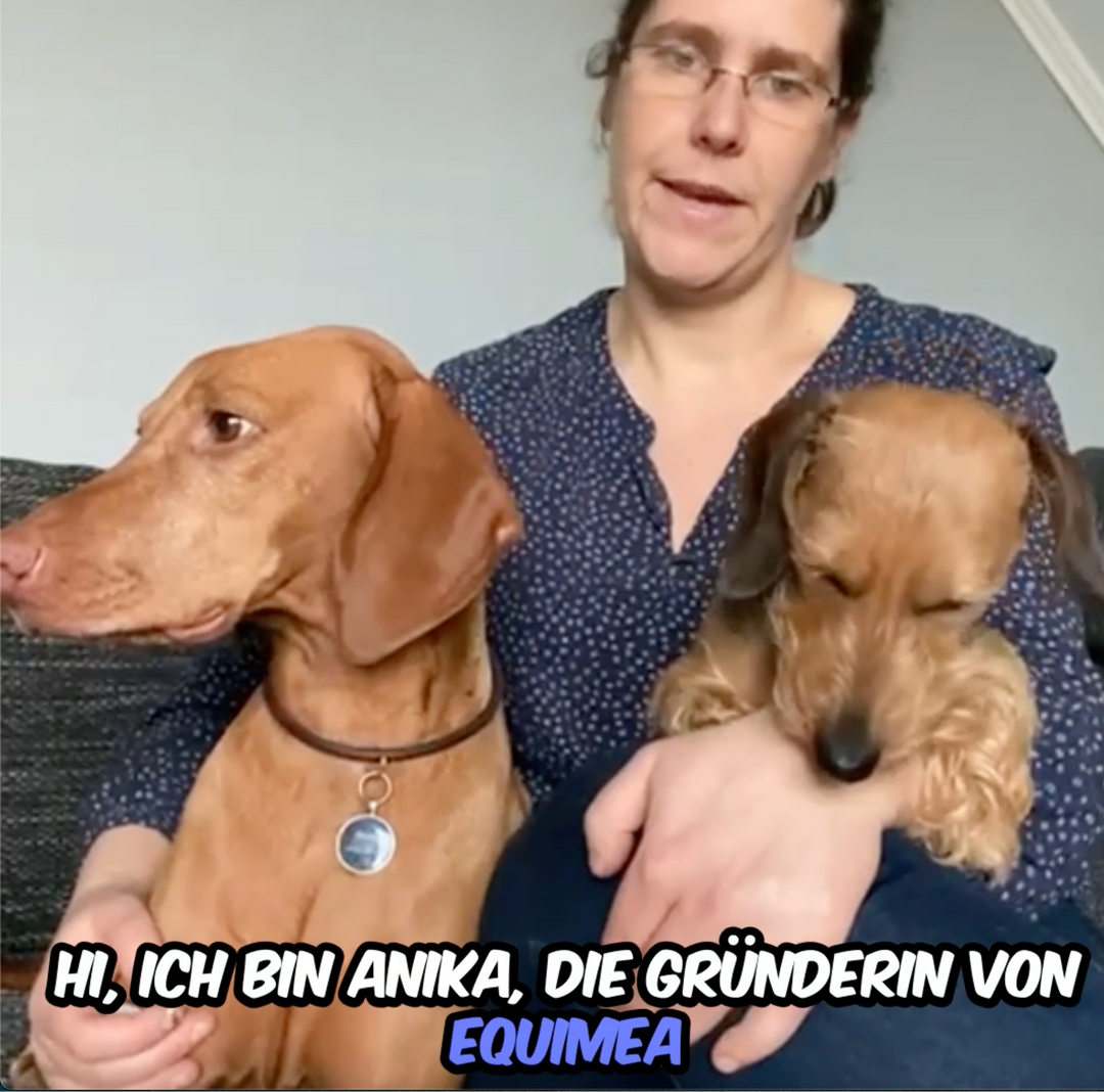 Die exklusive Hundemarke Portrait (mit dem Foto deines Hundes)