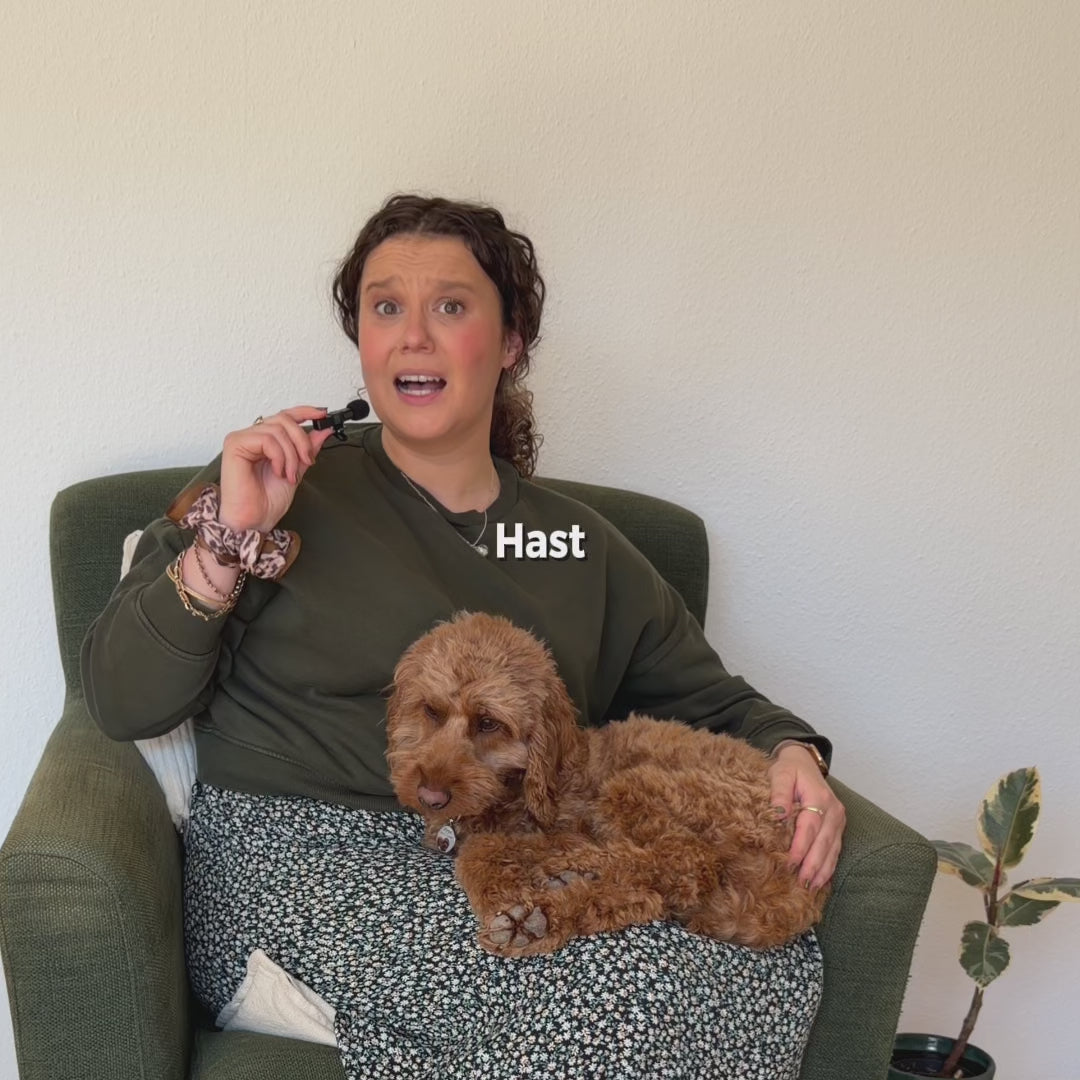 Hundemarke Lucky Dog