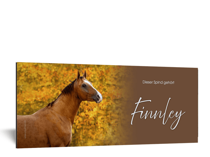 Spindschild Don Royal - EQUIMEA