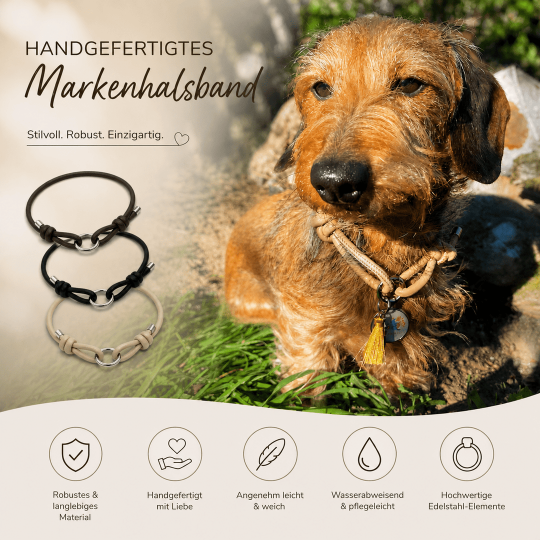 Verstellbares Markenhalsband Nodi - EQUIMEA
