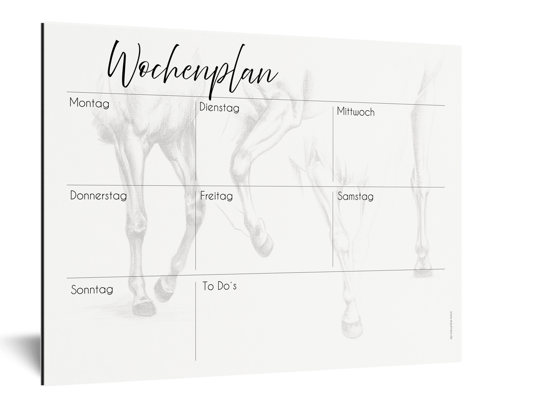 Wochenplan "Cavaliné" für 1 Pferd - EQUIMEA