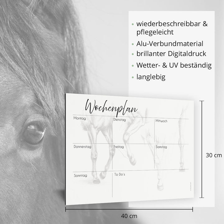 Wochenplan "Cavaliné" für 1 Pferd - EQUIMEA