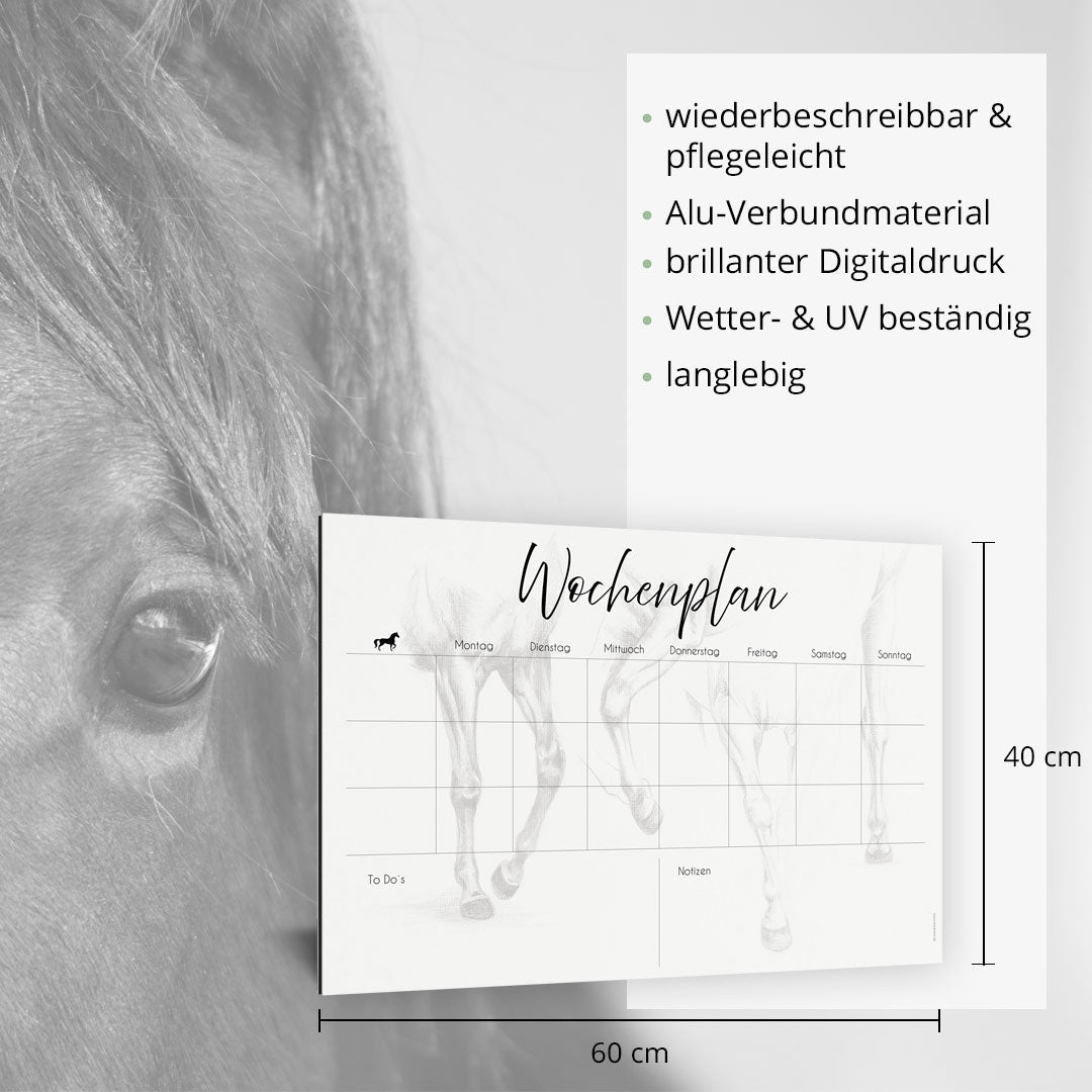 Wochenplan "Cavaliné" für 3 Pferde - EQUIMEA