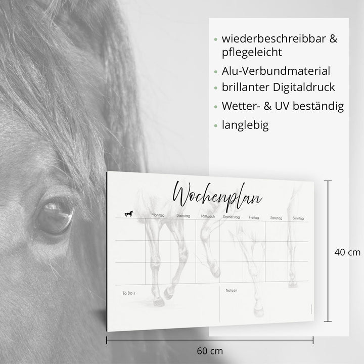 Wochenplan "Cavaliné" für 3 Pferde - EQUIMEA