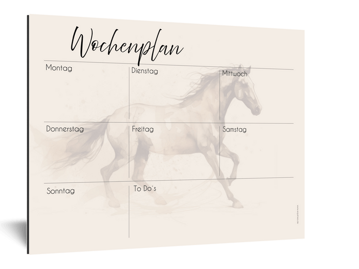 Wochenplan "Equimove" für 1 Pferd - EQUIMEA