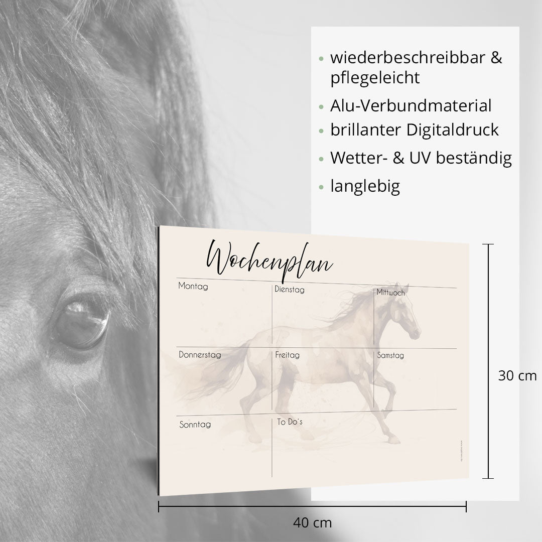 Wochenplan "Equimove" für 1 Pferd - EQUIMEA