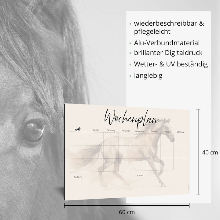 Wochenplan "Equimove" für 3 Pferde - EQUIMEA