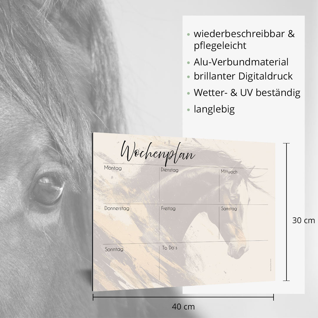 Wochenplan "Portrait" für 1 Pferd - EQUIMEA