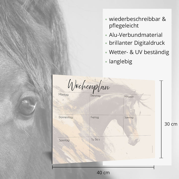 Wochenplan "Portrait" für 1 Pferd - EQUIMEA