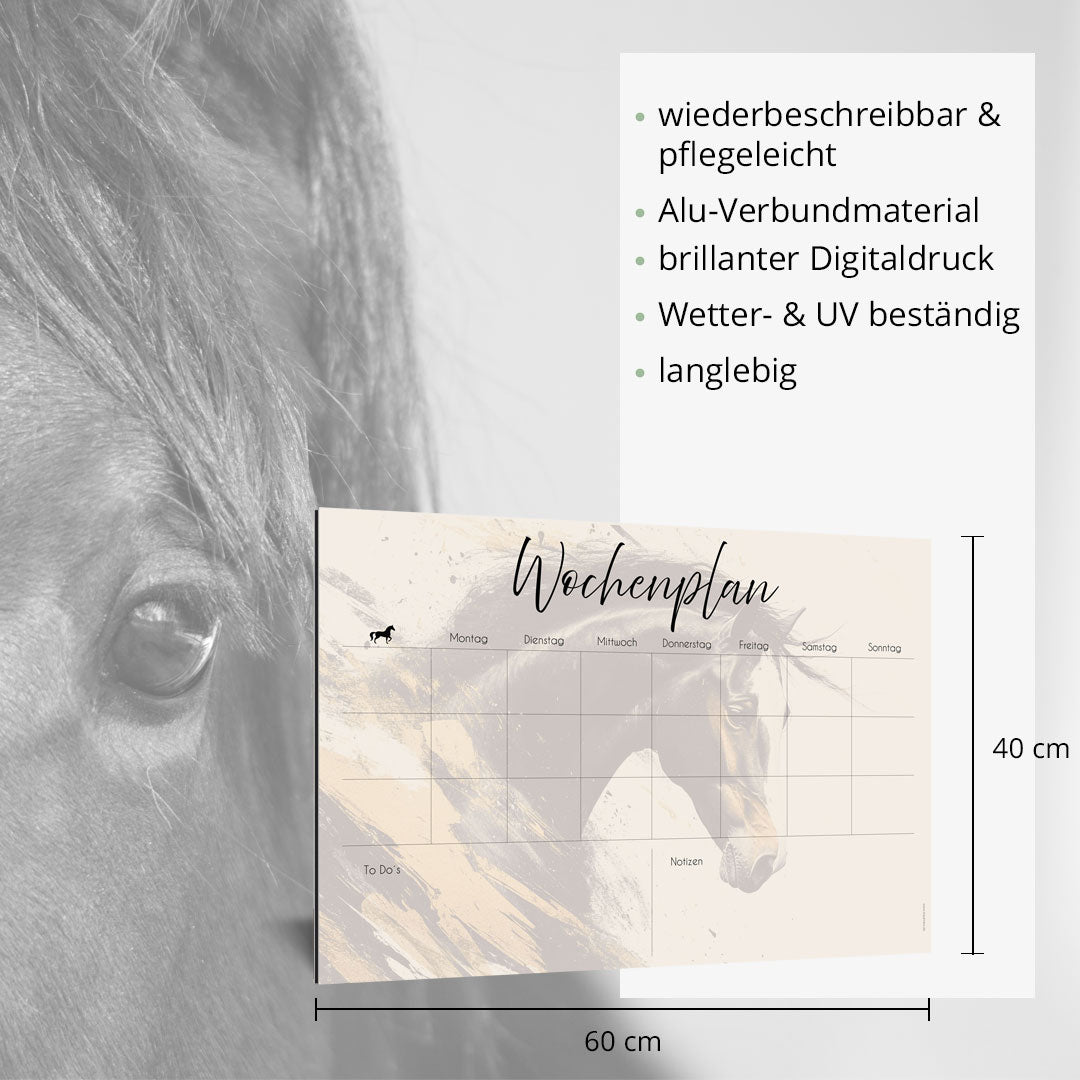 Wochenplan "Portrait" für 3 Pferde - EQUIMEA