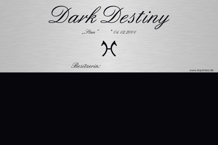 Entwurf-Dark-Destiny