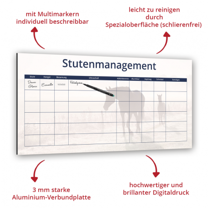 Stutenplan-Erklärung