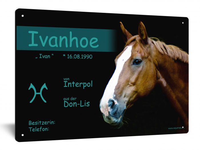 hannoveraner-horse