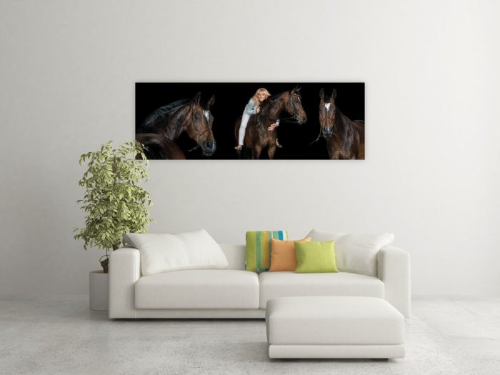panoramaschild-pferd