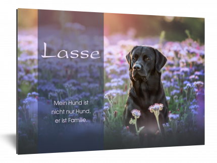 Lasse-Labrador-Hundeschild