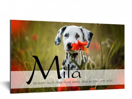 Mila-Hundeschild-mit-individuellem-Spruch Dalmatiner