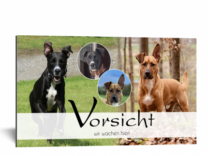 Hundeschild mit eigenem Foto