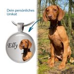 EQUIMEA Hundemarken