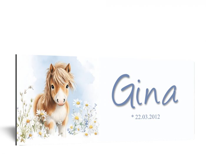 Kinderschild mit Pony und Blumen