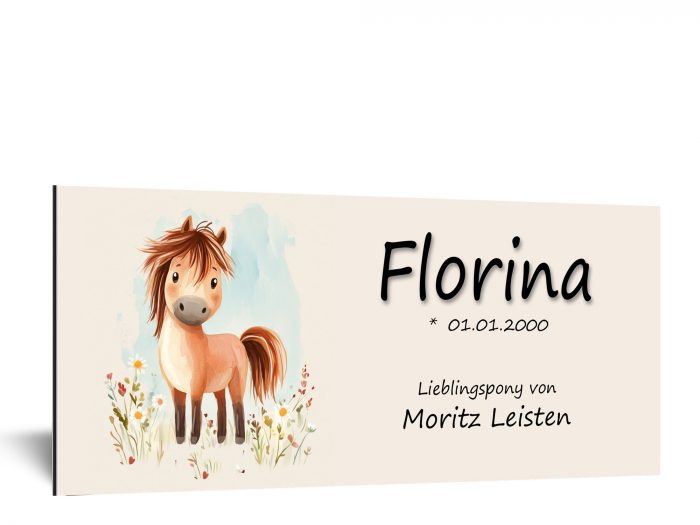 EQUIMEA Kinderschild mit braunem Pony